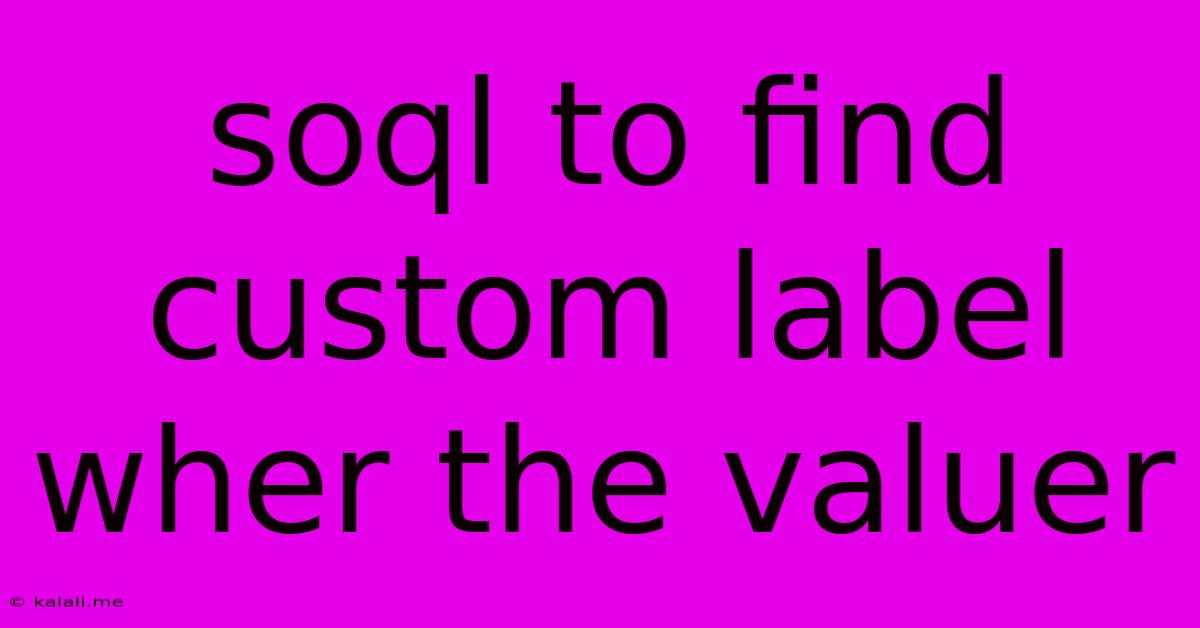 Soql To Find Custom Label Wher The Valuer