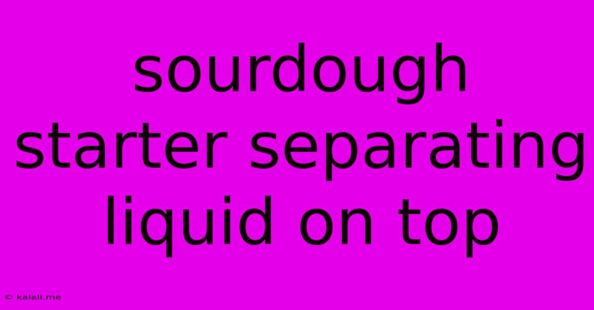 Sourdough Starter Separating Liquid On Top