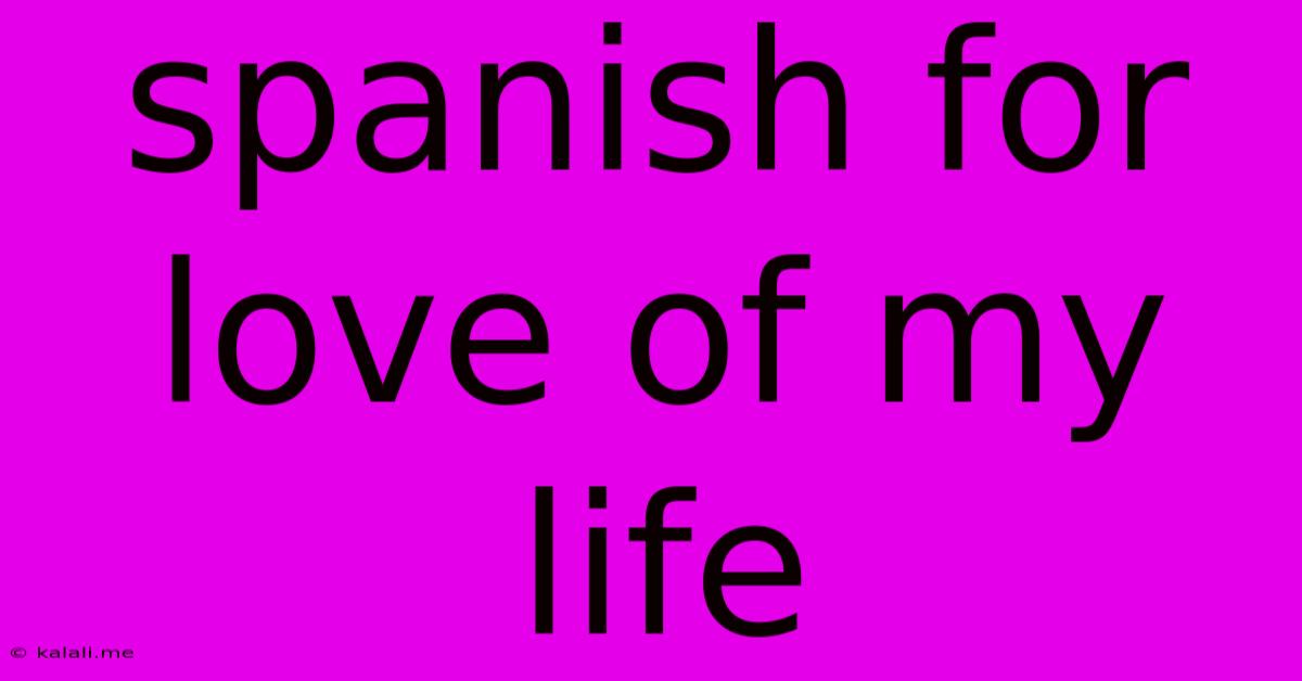 Spanish For Love Of My Life