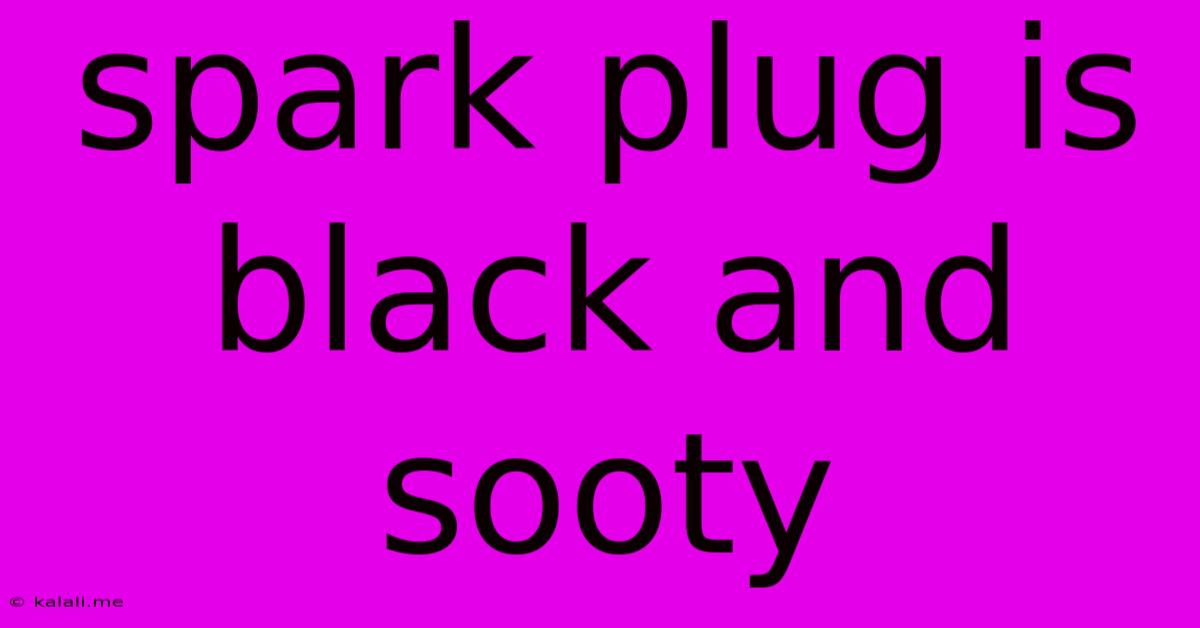 Spark Plug Is Black And Sooty