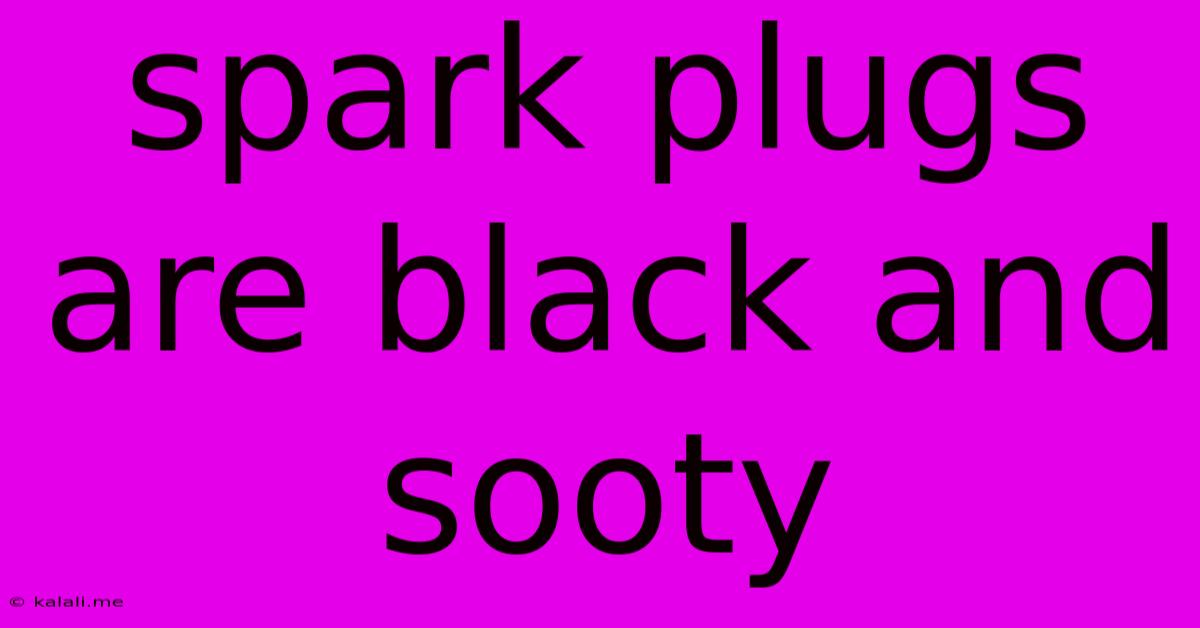 Spark Plugs Are Black And Sooty