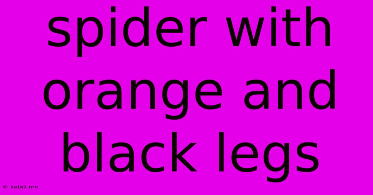 Spider With Orange And Black Legs
