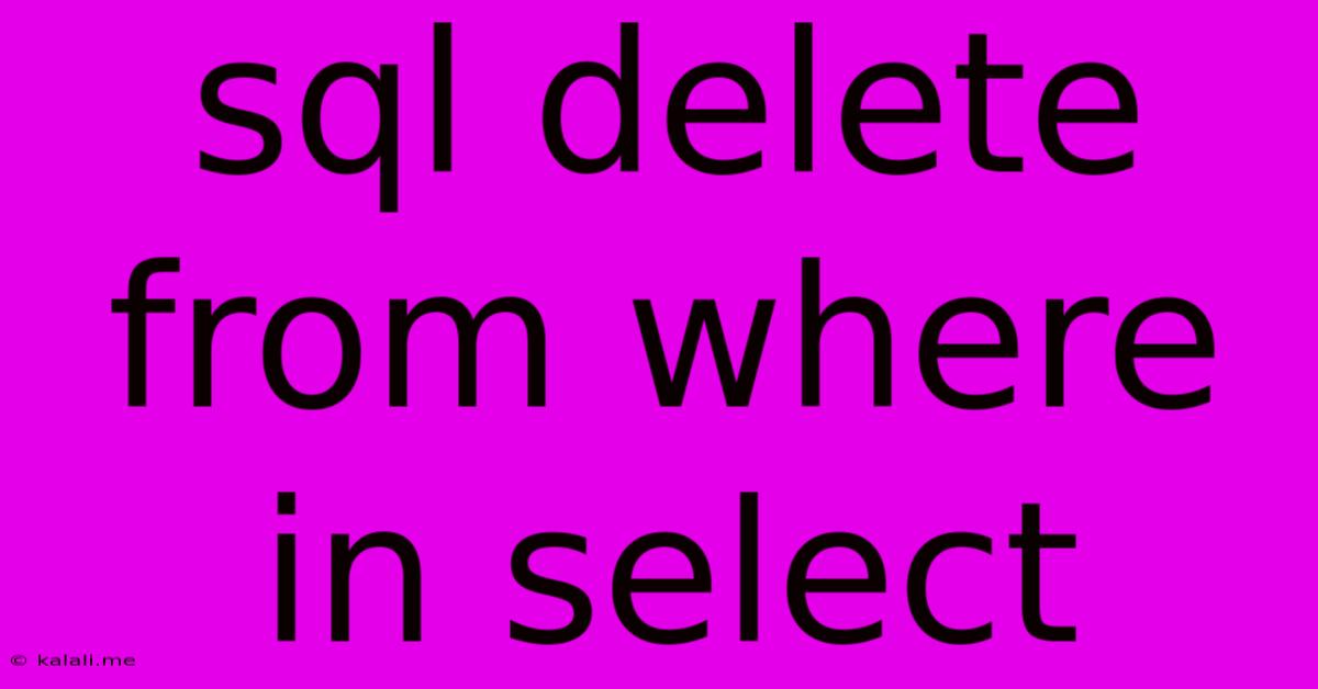Sql Delete From Where In Select