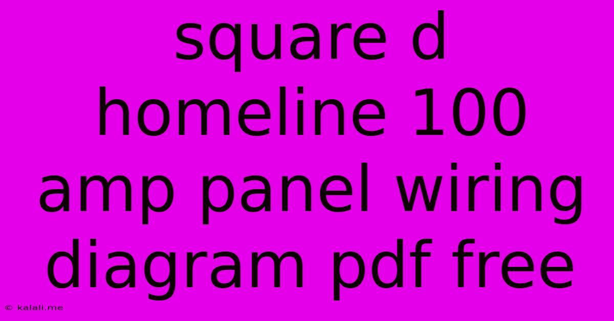 Square D Homeline 100 Amp Panel Wiring Diagram Pdf Free