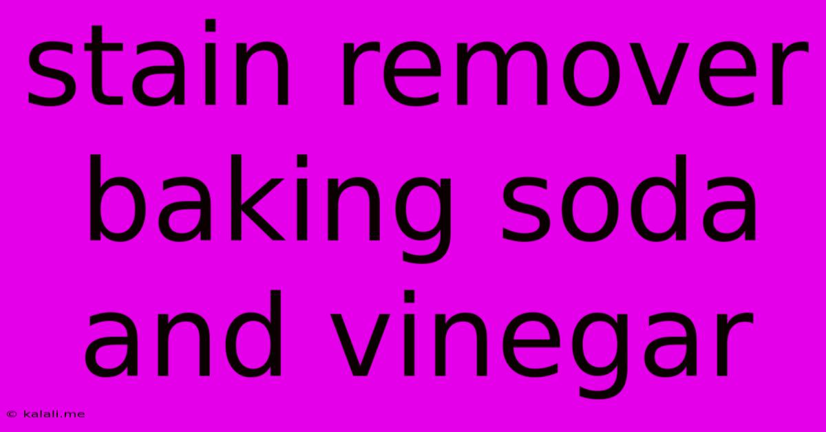 Stain Remover Baking Soda And Vinegar