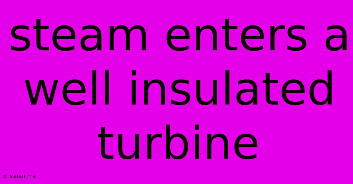 Steam Enters A Well Insulated Turbine