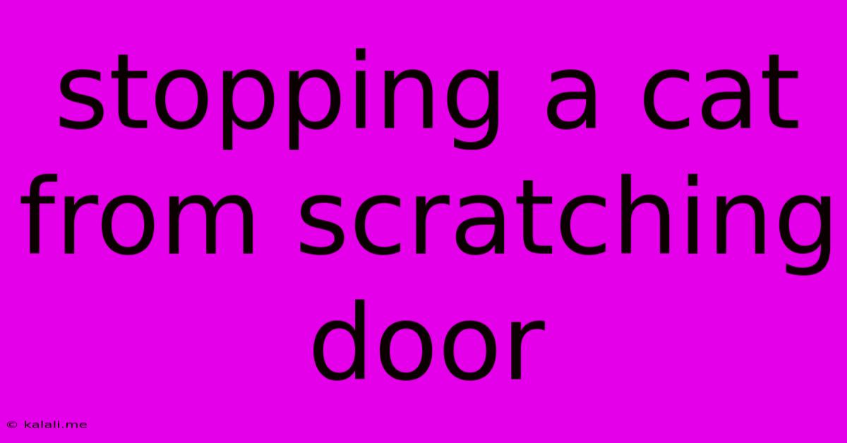 Stopping A Cat From Scratching Door