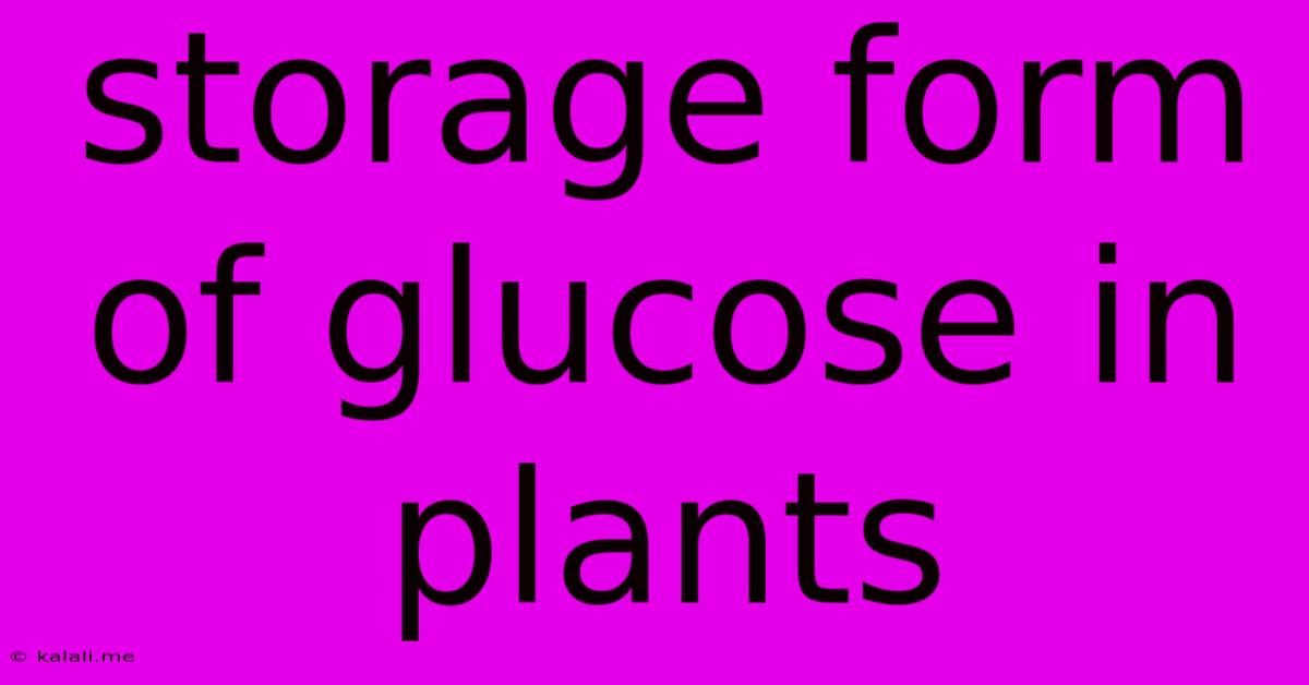 Storage Form Of Glucose In Plants