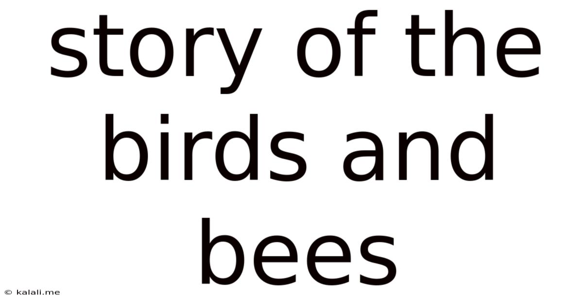Story Of The Birds And Bees