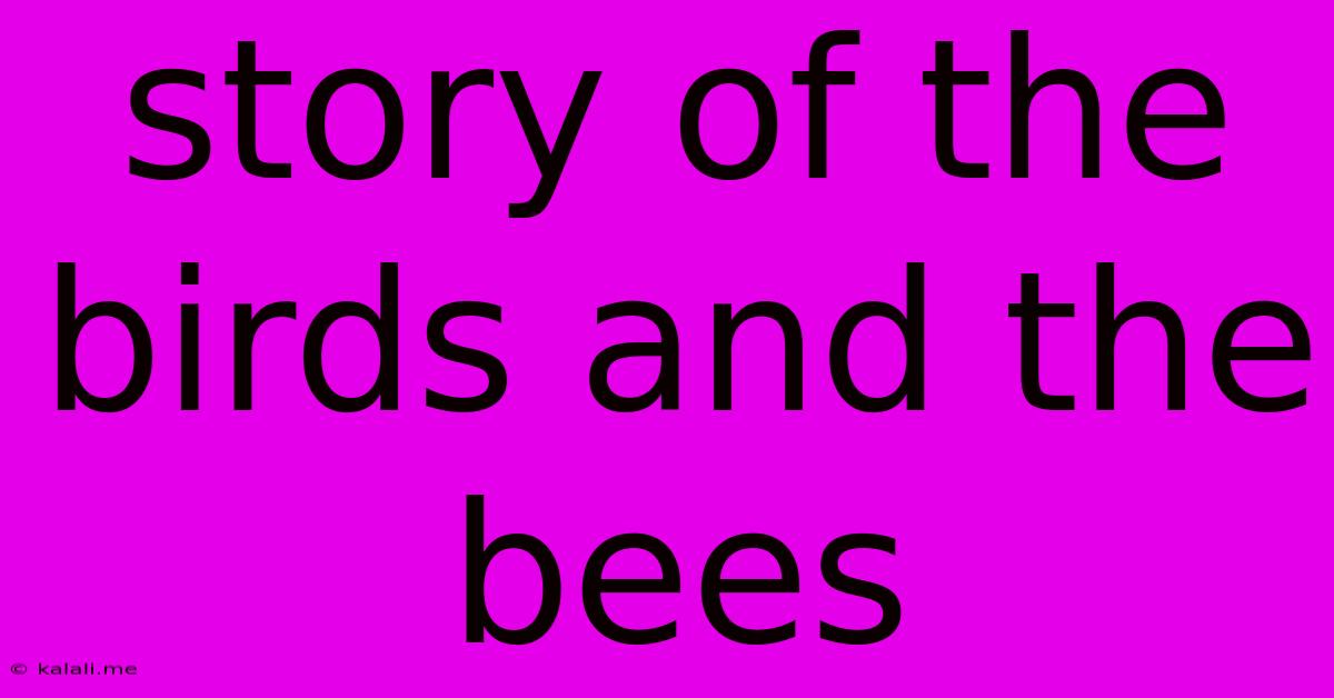 Story Of The Birds And The Bees