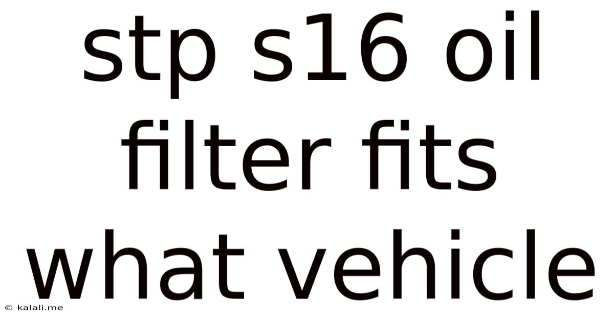 Stp S16 Oil Filter Fits What Vehicle