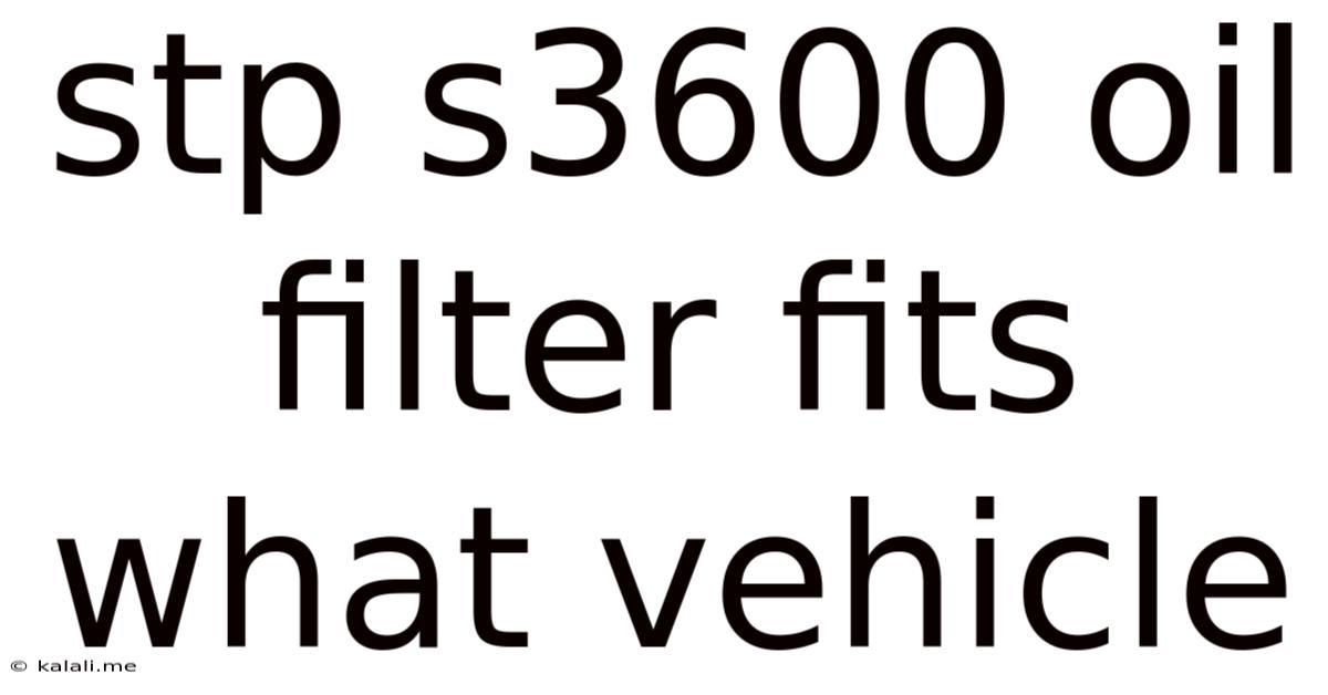 Stp S3600 Oil Filter Fits What Vehicle