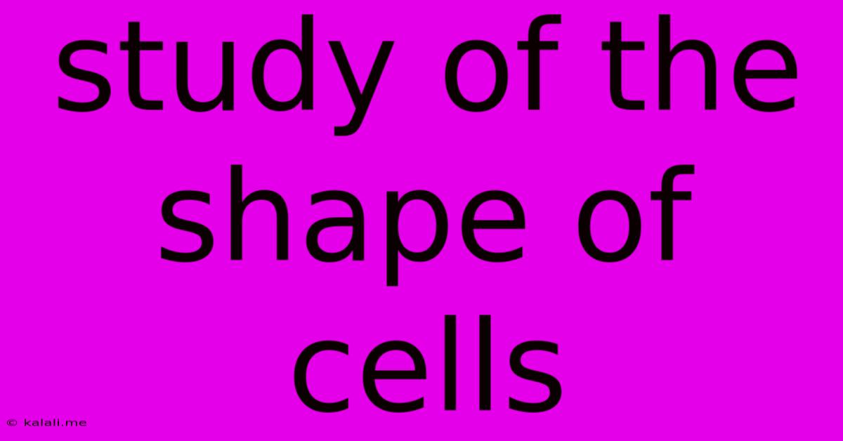 Study Of The Shape Of Cells