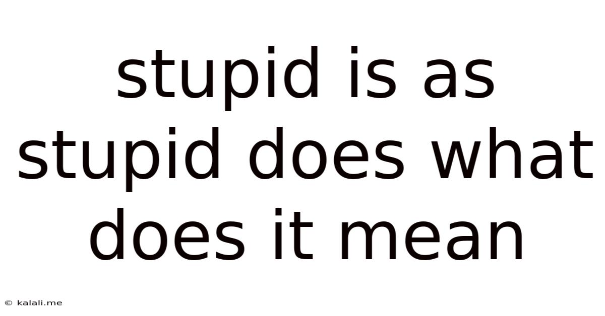 Stupid Is As Stupid Does What Does It Mean