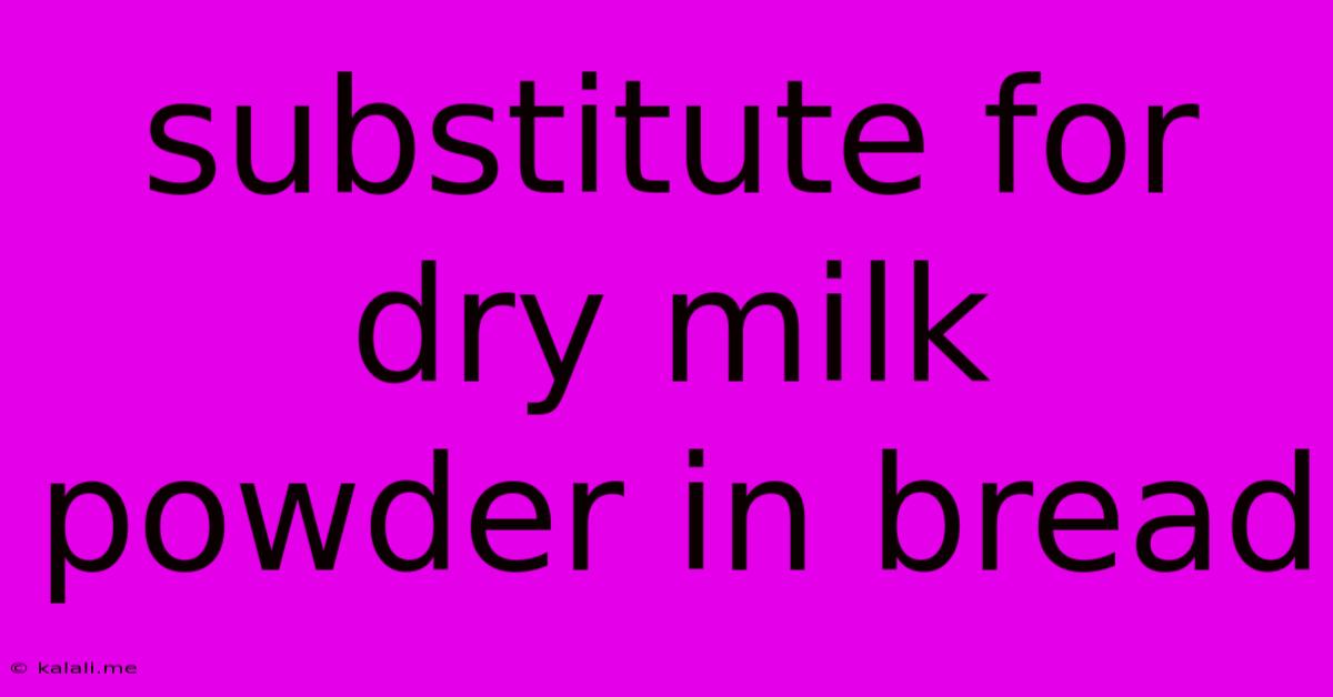 Substitute For Dry Milk Powder In Bread