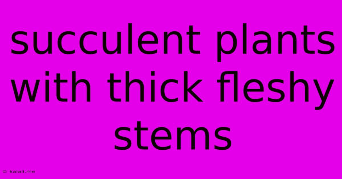 Succulent Plants With Thick Fleshy Stems