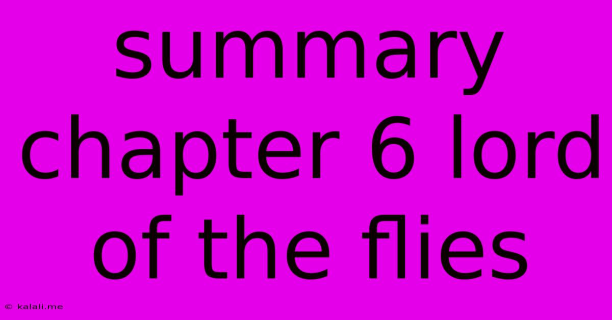 Summary Chapter 6 Lord Of The Flies