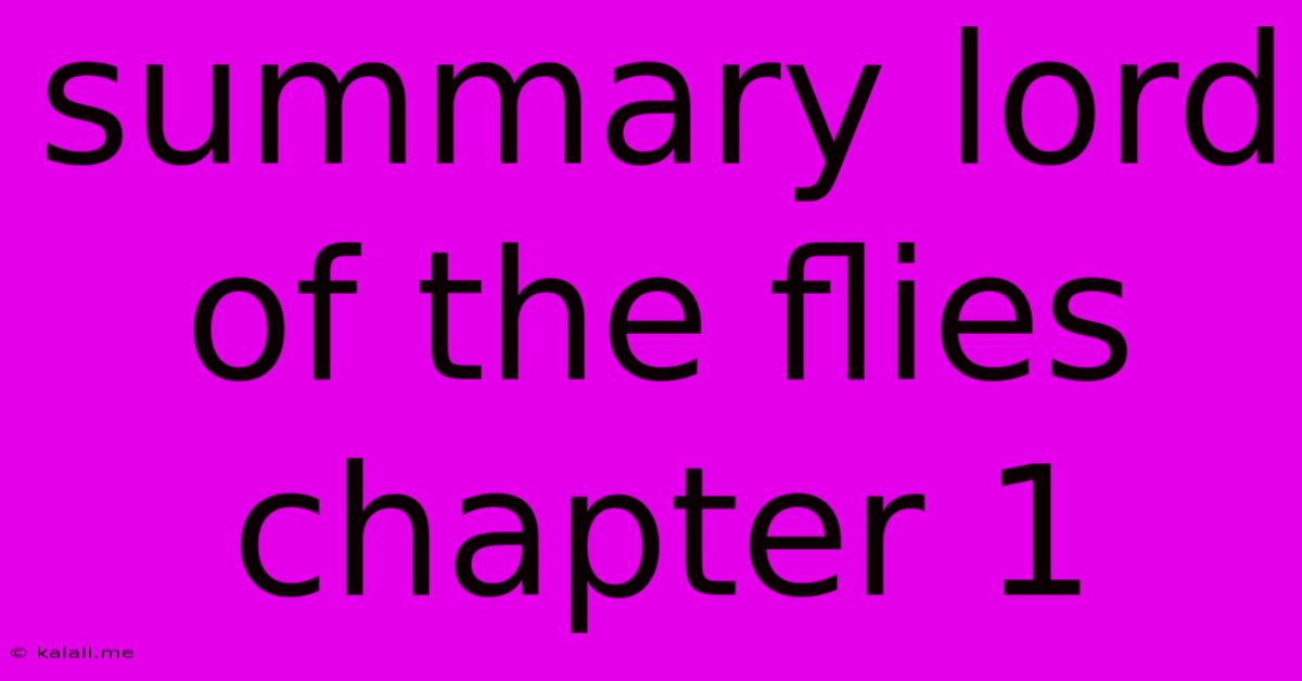 Summary Lord Of The Flies Chapter 1