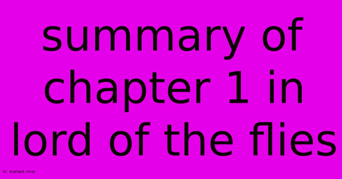 Summary Of Chapter 1 In Lord Of The Flies