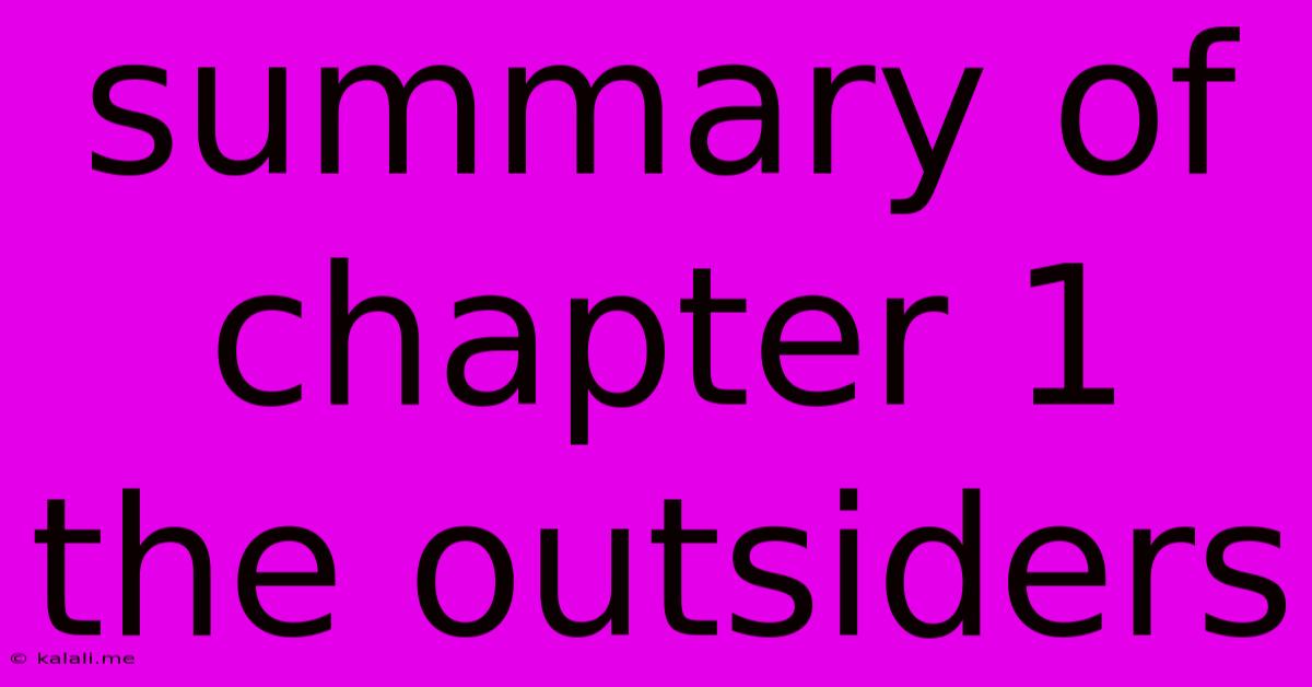 Summary Of Chapter 1 The Outsiders