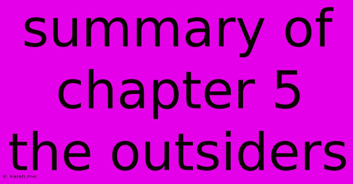 Summary Of Chapter 5 The Outsiders