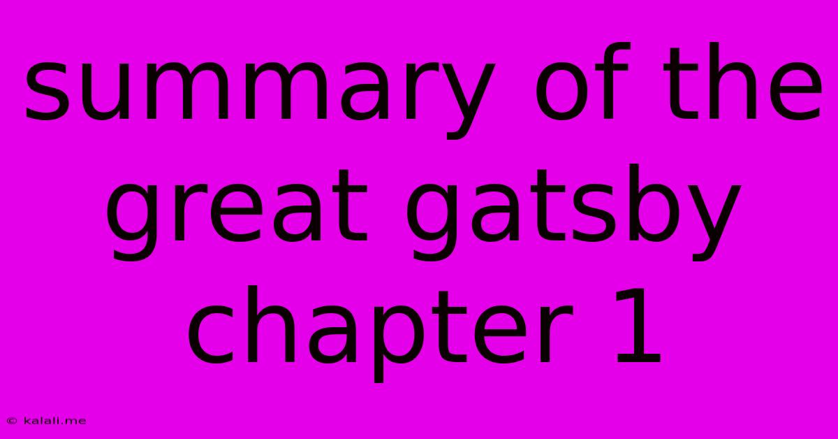 Summary Of The Great Gatsby Chapter 1