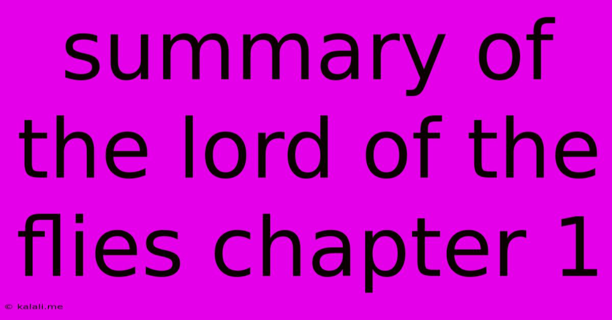 Summary Of The Lord Of The Flies Chapter 1