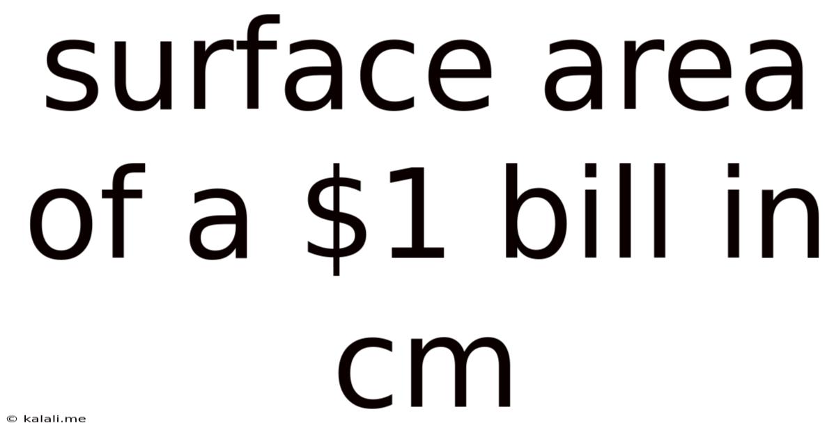 Surface Area Of A $1 Bill In Cm