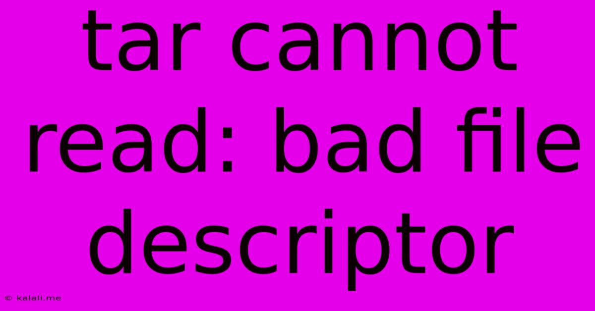 Tar Cannot Read: Bad File Descriptor