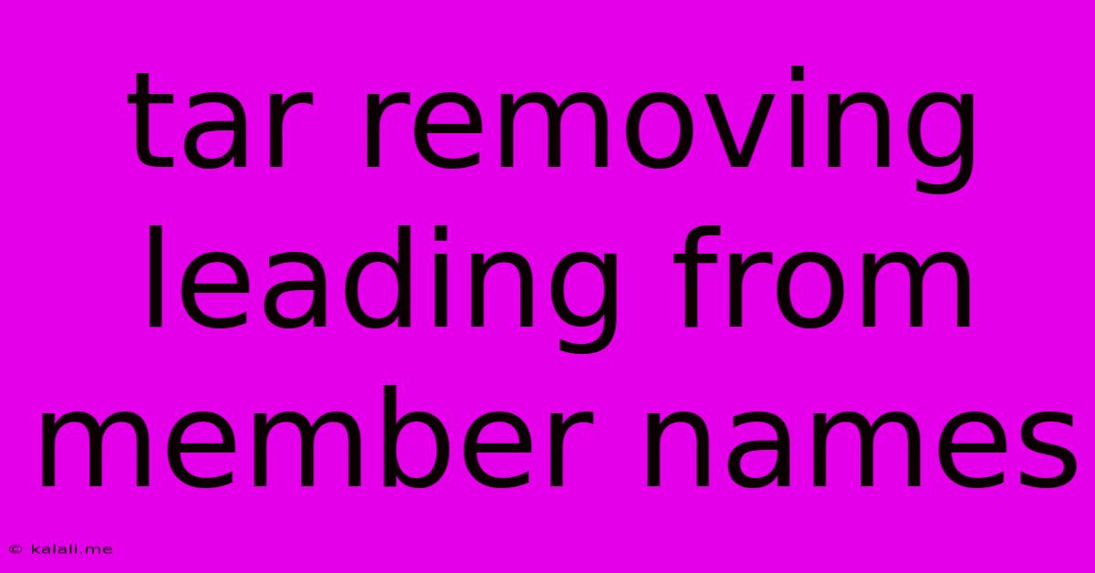 Tar Removing Leading From Member Names