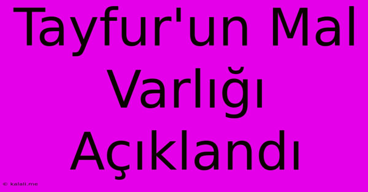 Tayfur'un Mal Varlığı Açıklandı