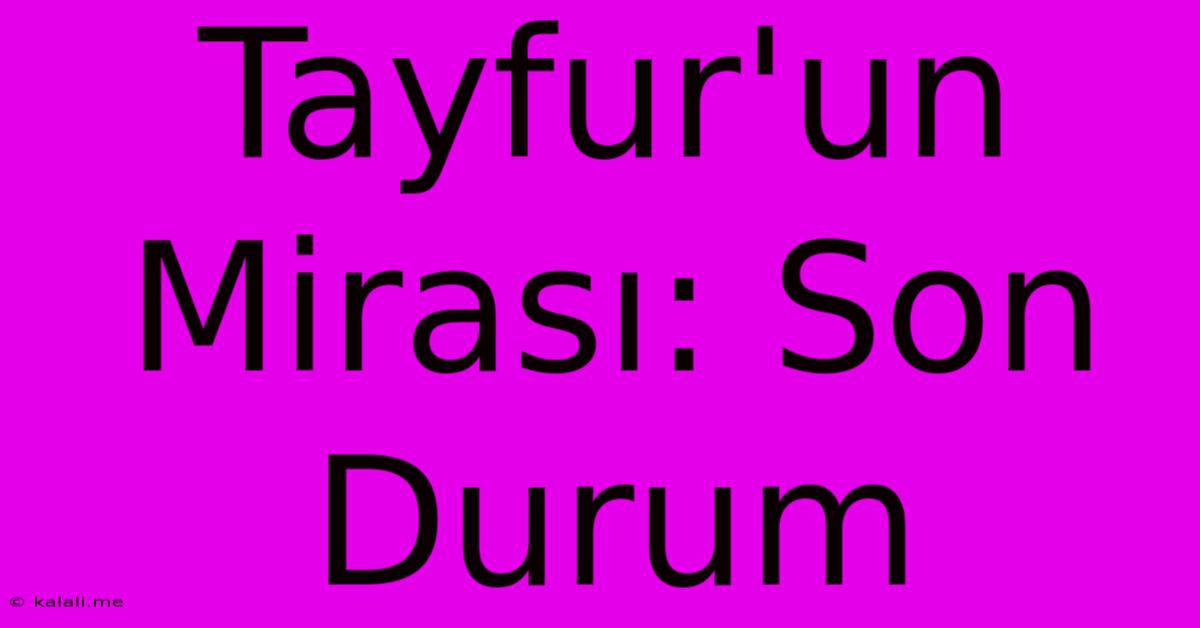 Tayfur'un Mirası: Son Durum