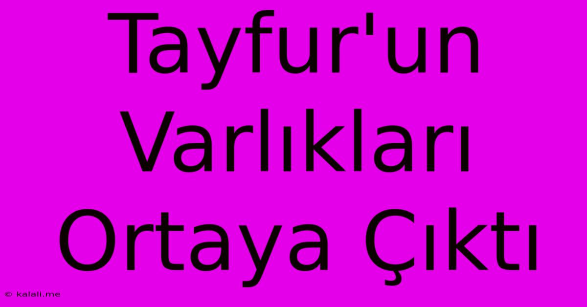 Tayfur'un Varlıkları Ortaya Çıktı