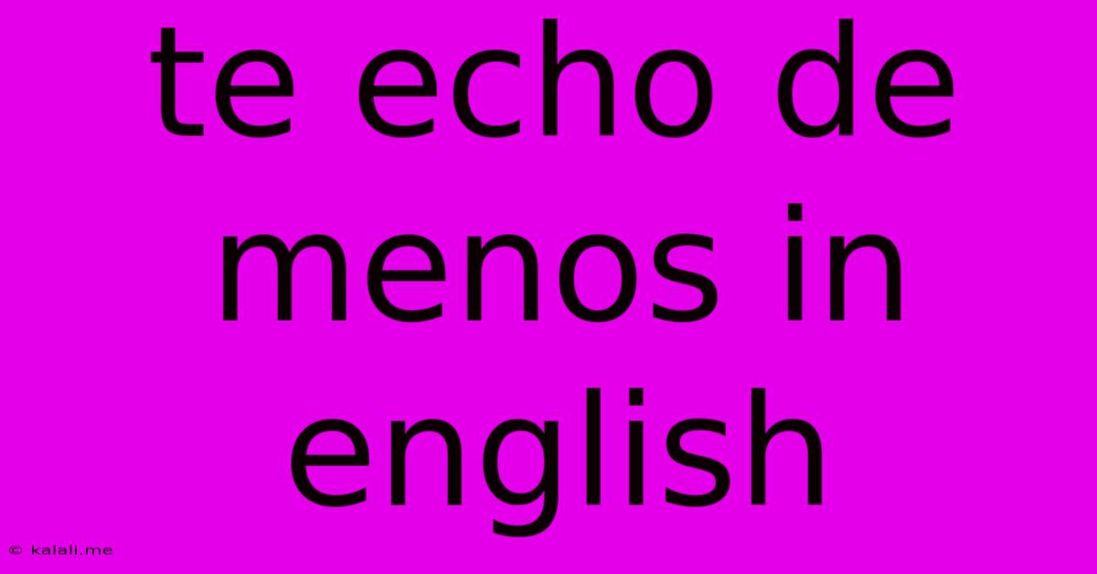 Te Echo De Menos In English