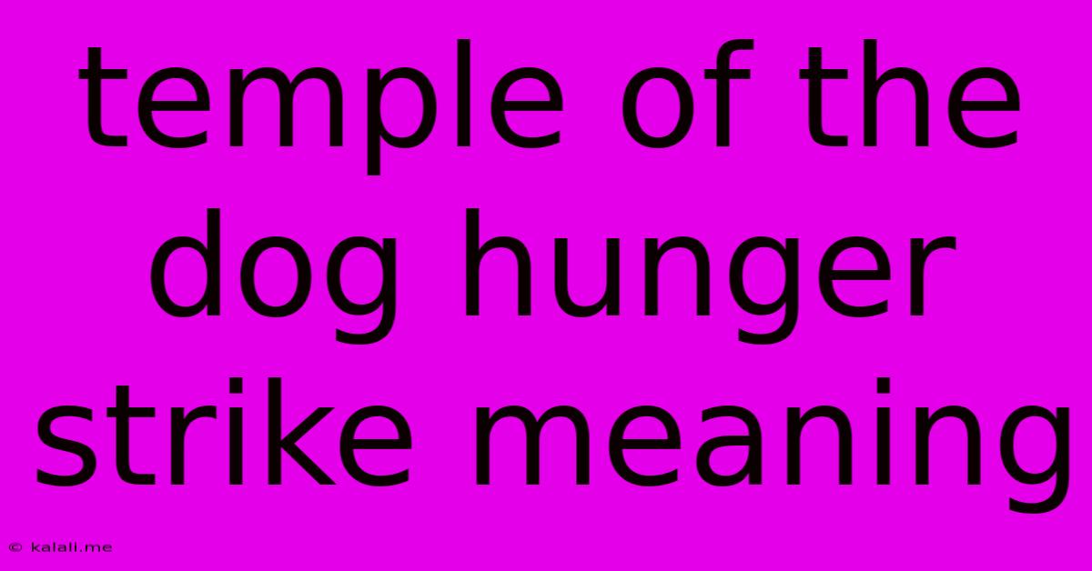 Temple Of The Dog Hunger Strike Meaning