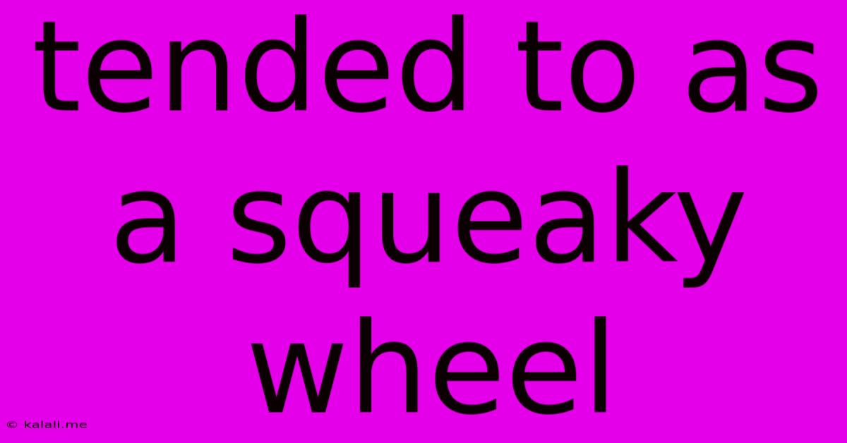 Tended To As A Squeaky Wheel