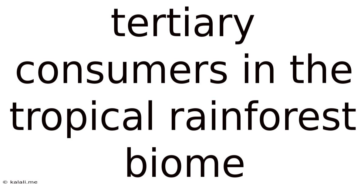 Tertiary Consumers In The Tropical Rainforest Biome