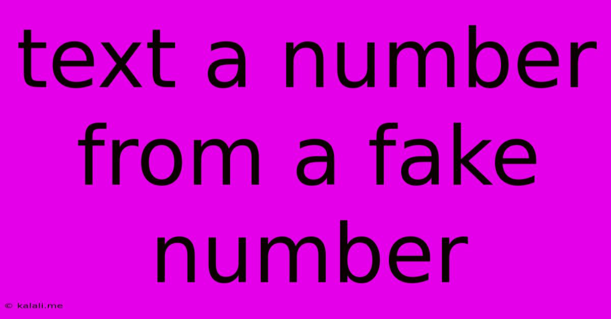 Text A Number From A Fake Number