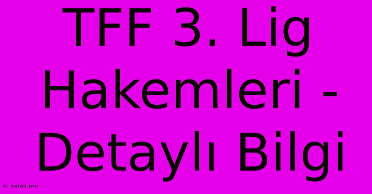 TFF 3. Lig Hakemleri - Detaylı Bilgi