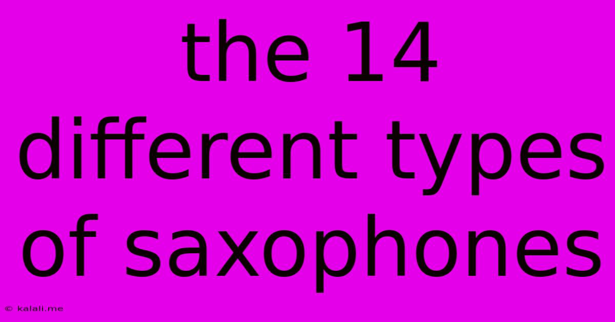 The 14 Different Types Of Saxophones