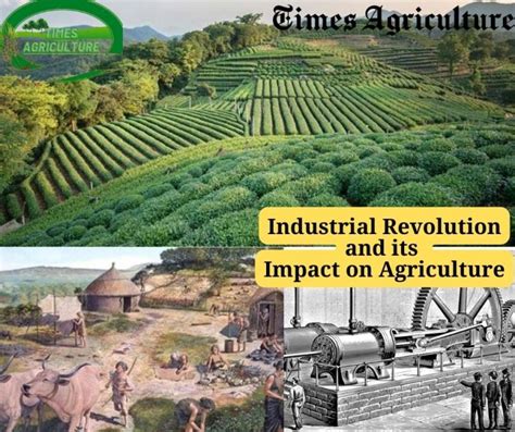 The Agricultural Revolution Helped Spark The Industrial Revolution By