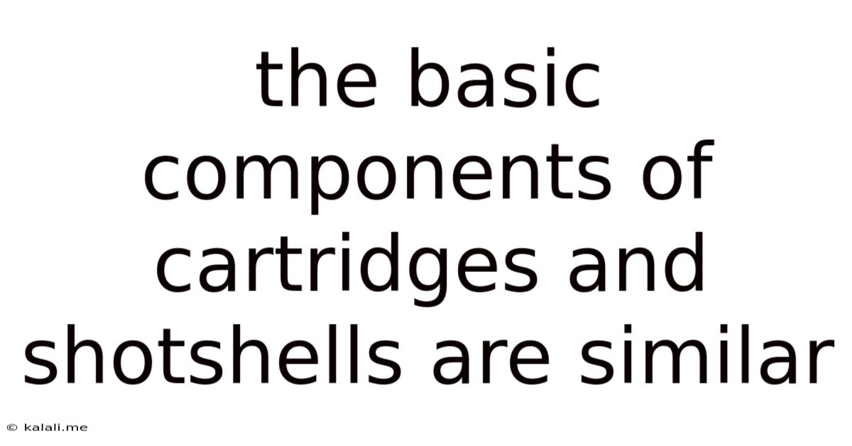 The Basic Components Of Cartridges And Shotshells Are Similar
