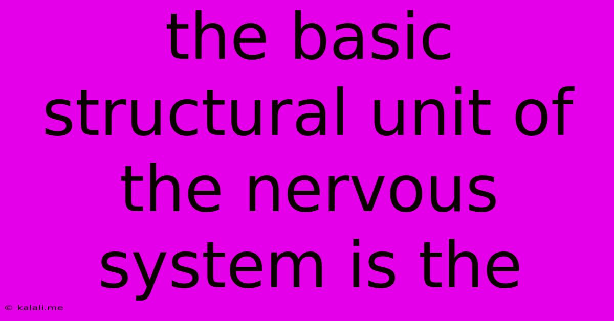 The Basic Structural Unit Of The Nervous System Is The