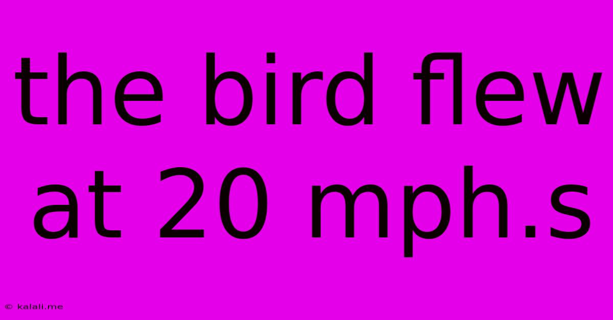 The Bird Flew At 20 Mph.s