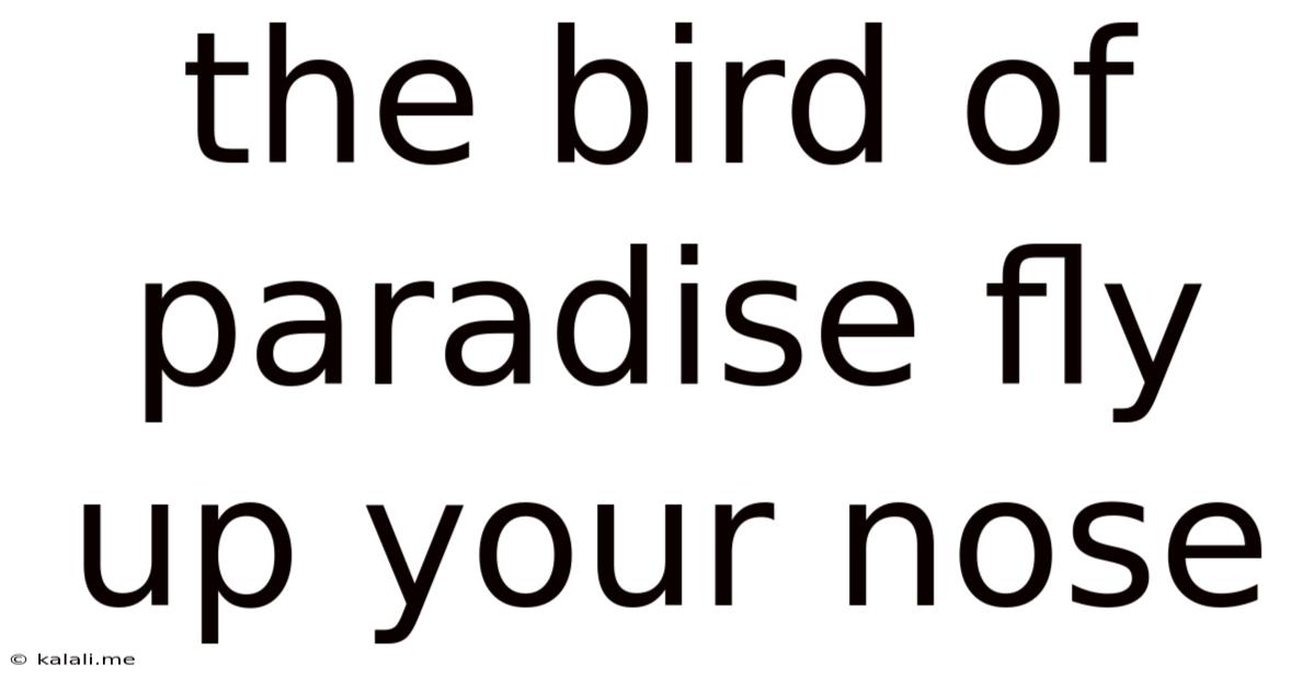 The Bird Of Paradise Fly Up Your Nose