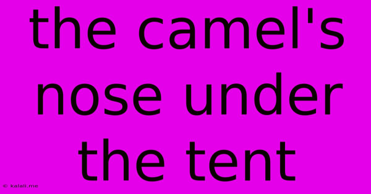 The Camel's Nose Under The Tent