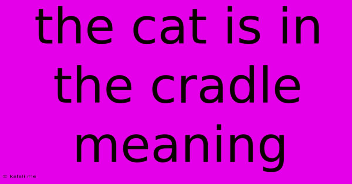 The Cat Is In The Cradle Meaning