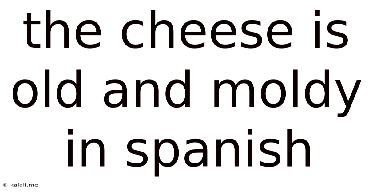 The Cheese Is Old And Moldy In Spanish