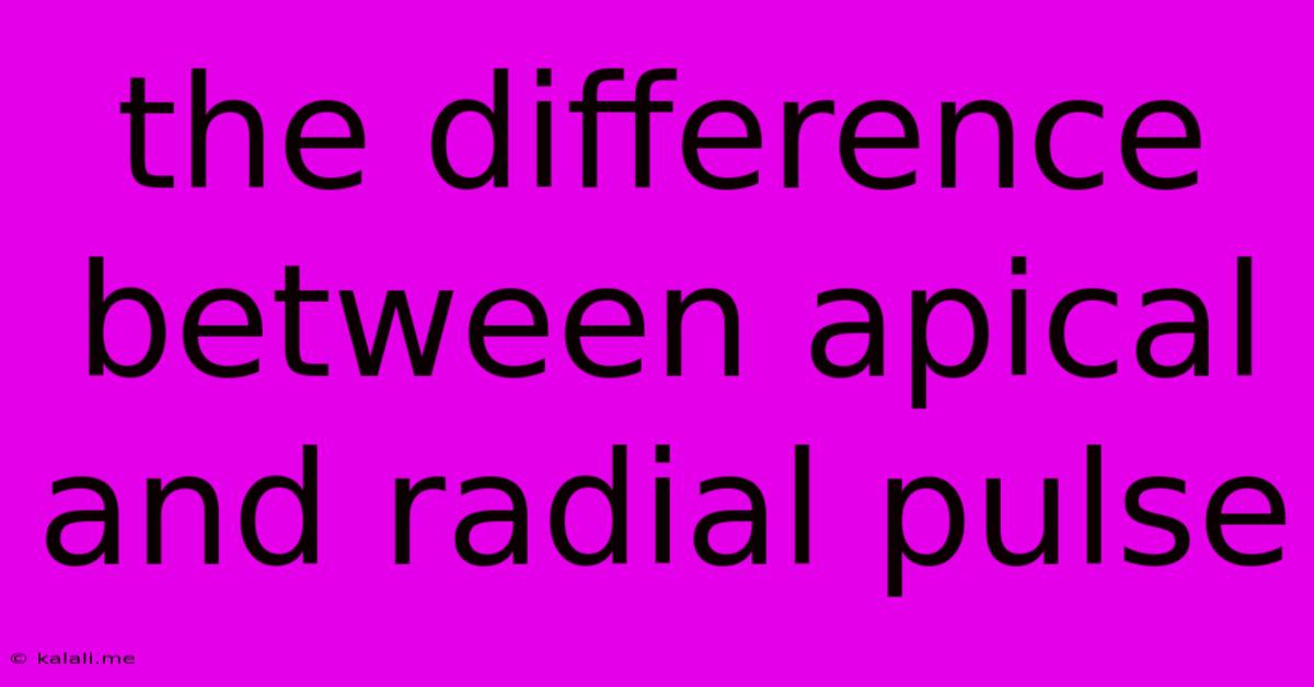 The Difference Between Apical And Radial Pulse