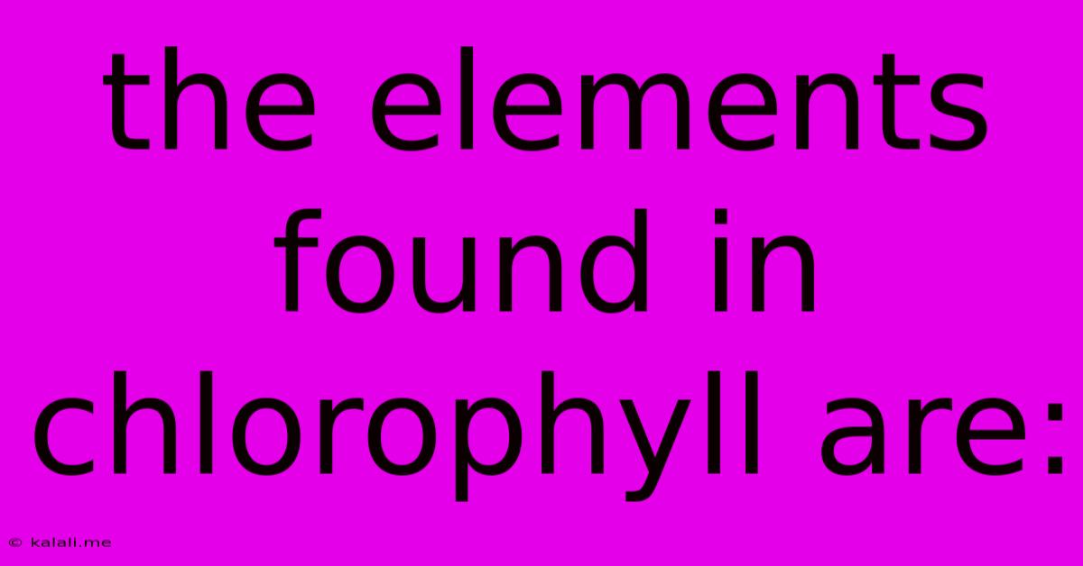 The Elements Found In Chlorophyll Are: